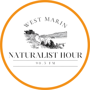 Team Page: West Marin Naturalist Hour with Dallas Smith, Seamus Tomkins & Liz Wilhelm